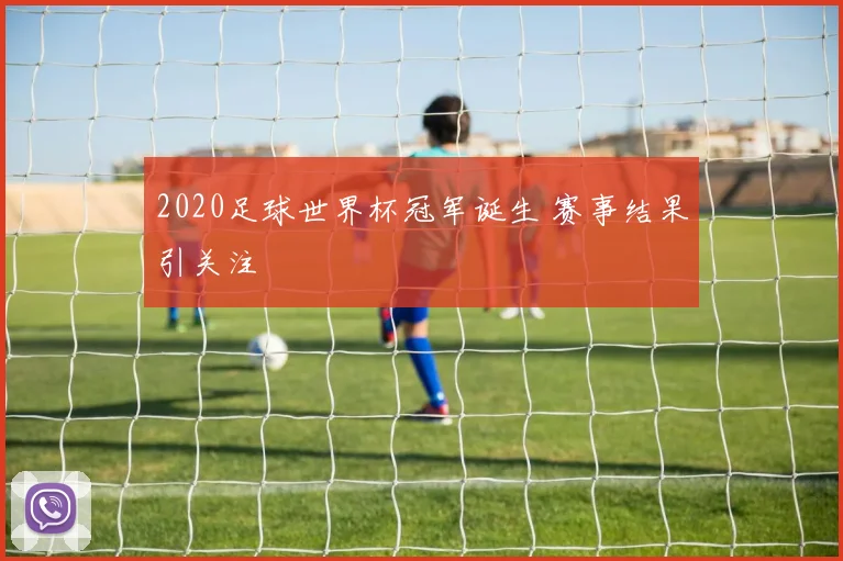 2020足球世界杯冠军诞生 赛事结果引关注
